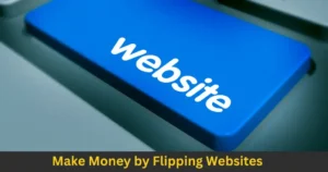 earn money from flipping websites