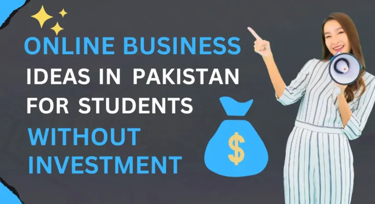 online business ideas in pakistan for students without investment